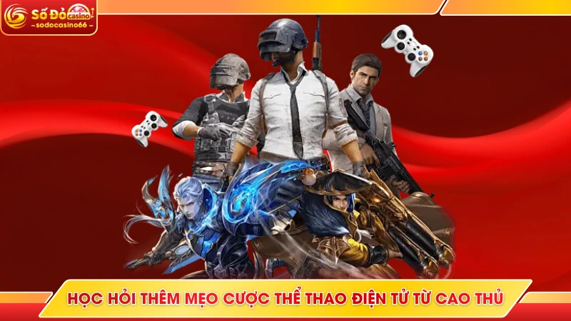 Esports SODO Casino - Hàng Loạt Kèo Cực Căng, Thưởng Lớn 10 Học hỏi thêm mẹo cược thể thao điện tử từ cao thủ