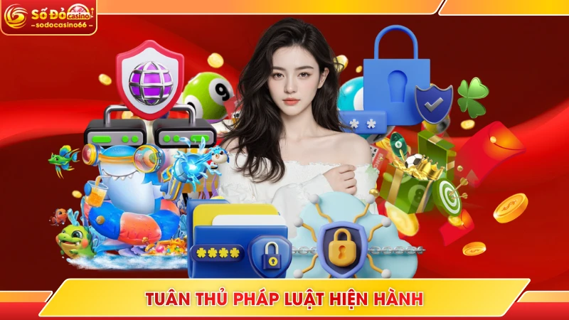 Tuân thủ pháp luật hiện hành