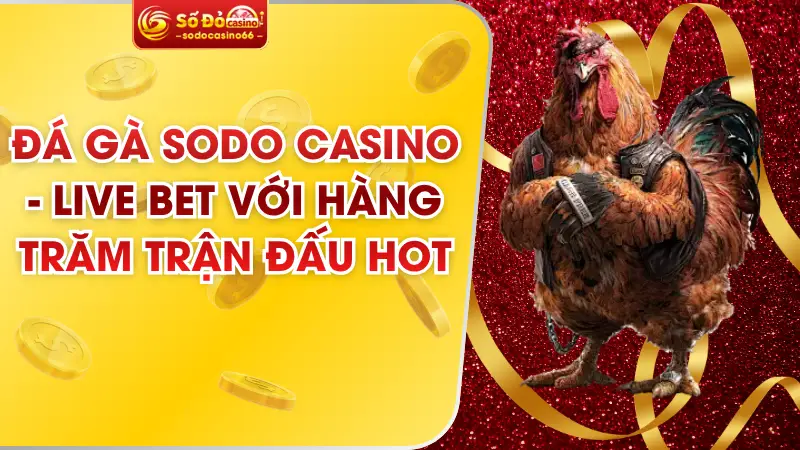 Đá Gà SODO Casino - Live Bet Với Hàng Trăm Trận Đấu Hot