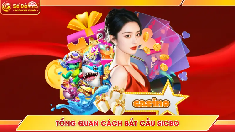 Tổng quan cách bắt cầu Sicbo